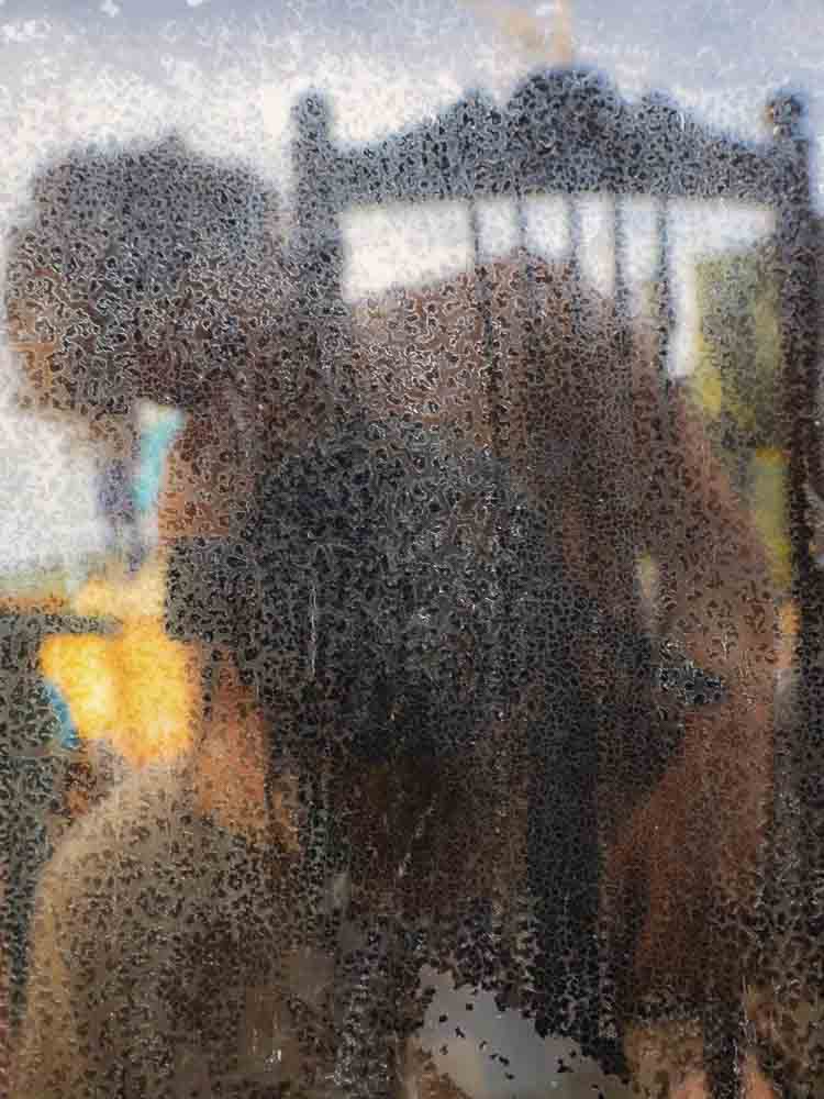 autorretrato de laurargrau