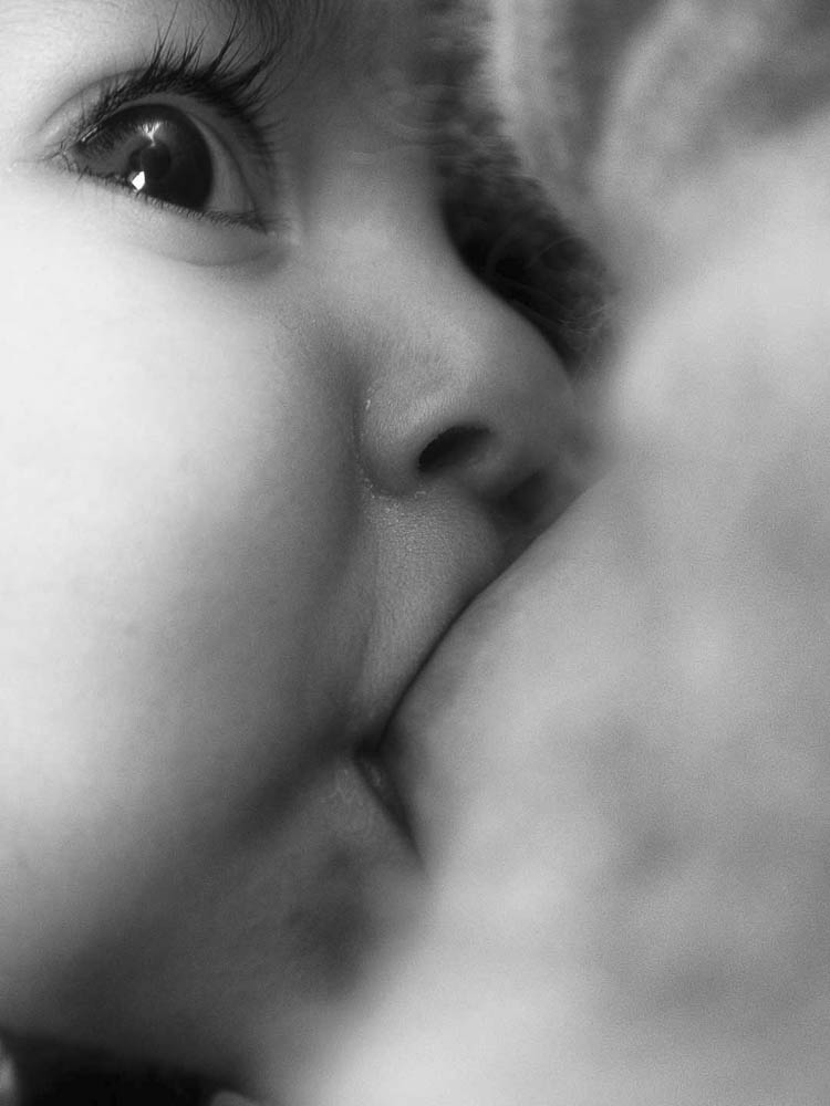 cariño y maternidad