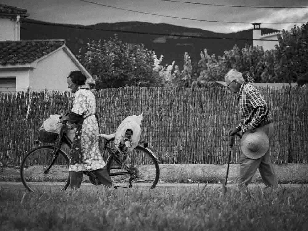 de caminon a casa con los productos del huerto