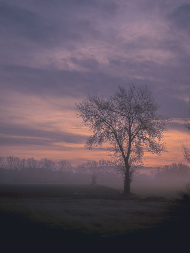 amanecer en el Empordà